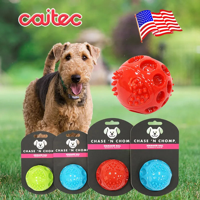 Squeaking Bouncing Ball, Durable Floatable Dog Toys, Springy Pet Toys, Squeaky Ball Bite Resistant for Small to Large Dogs