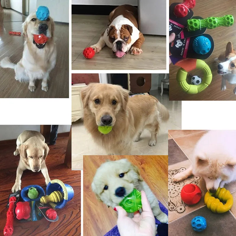 Squeaking Bouncing Ball, Durable Floatable Dog Toys, Springy Pet Toys, Squeaky Ball Bite Resistant for Small to Large Dogs