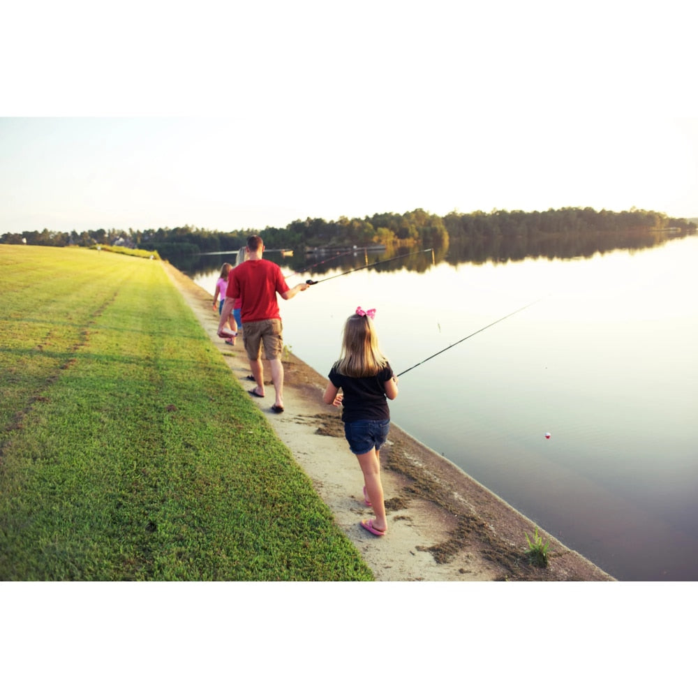 Fishing Rod free shipping