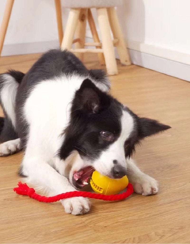 Fun Leaky Food Rubber Ball Pet Dog Toys