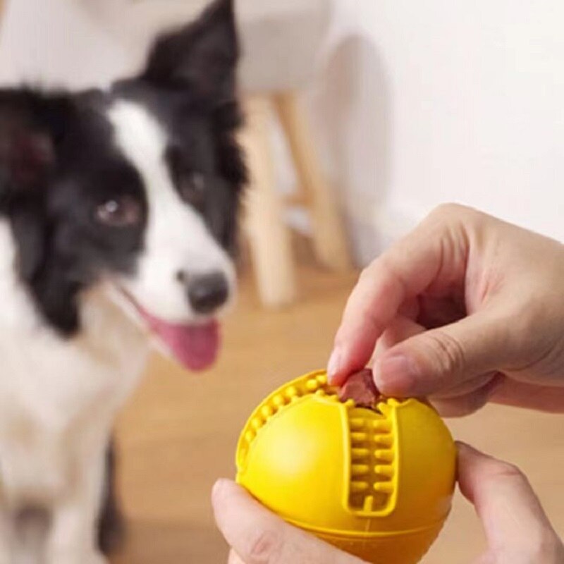 Fun Leaky Food Rubber Ball Pet Dog Toys