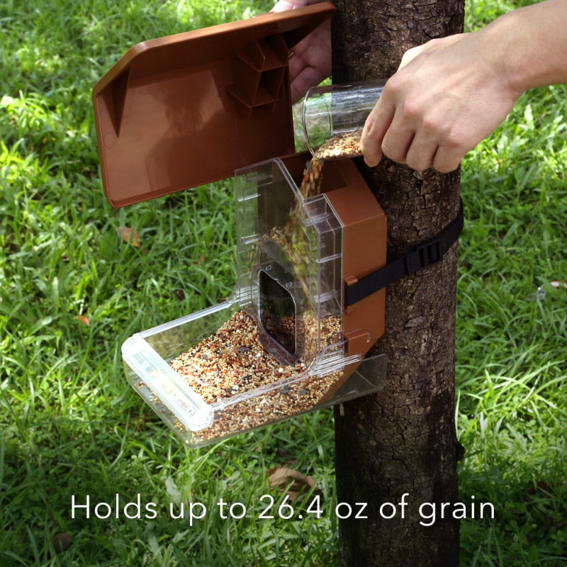 Bird Feeder Camera Case Compatible with Blink, , and Ring Cam - Bird Feeder for Bird Watching with Your Security Cam