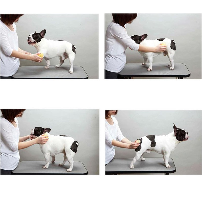 Dog Cat Massage Cleaning Brush