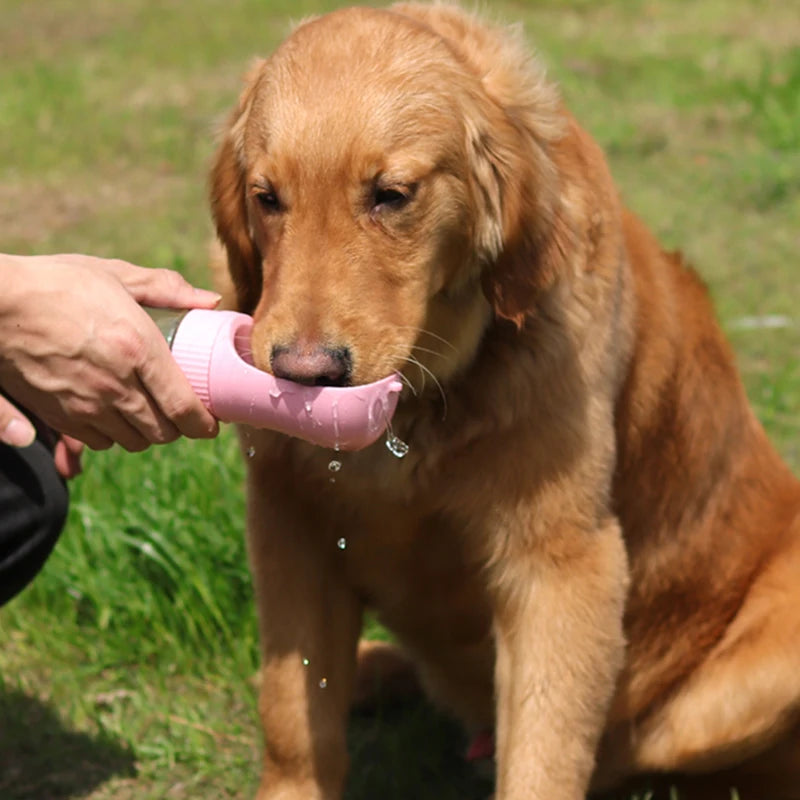 2 In 1 Portable Dog Water Bottle Dogs Cats