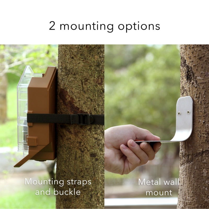 Bird Feeder Camera Case Compatible with Blink, , and Ring Cam - Bird Feeder for Bird Watching with Your Security Cam