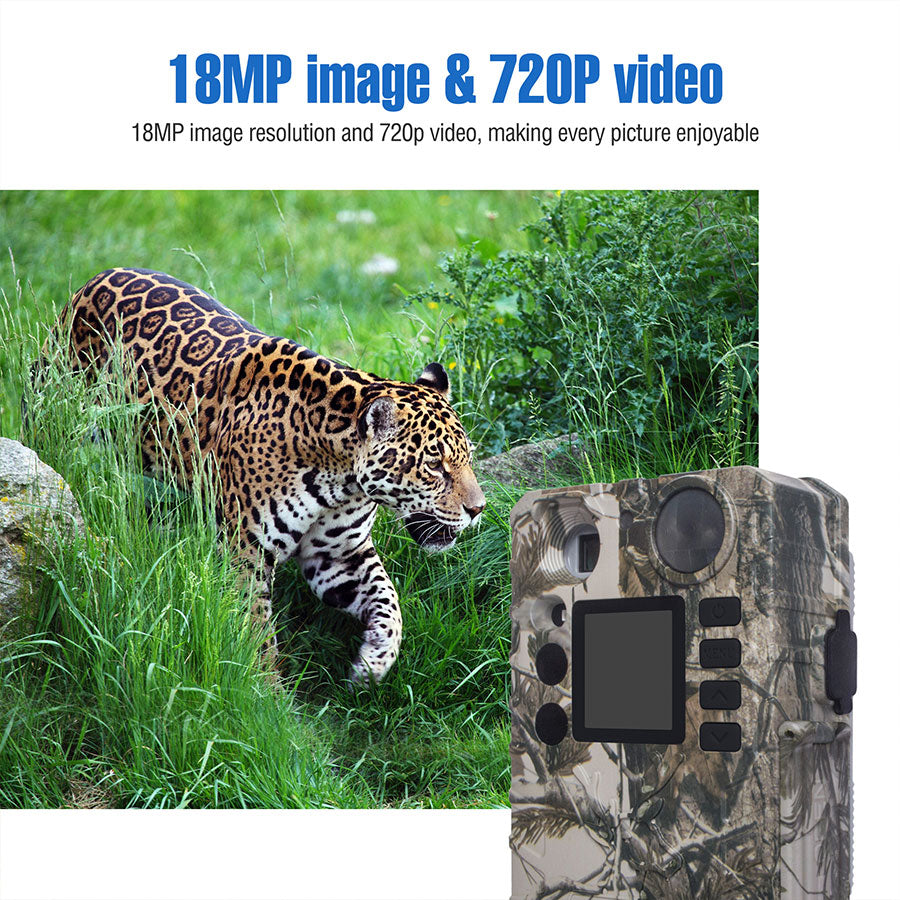 Trail camera with batteries and TF card - youractivewellnessshop