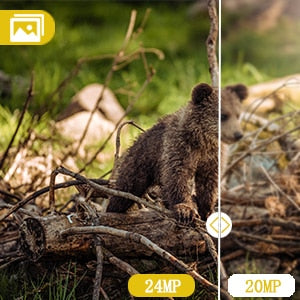 Wildlife Monitoring Waterproof Trail Camera - youractivewellnessshop