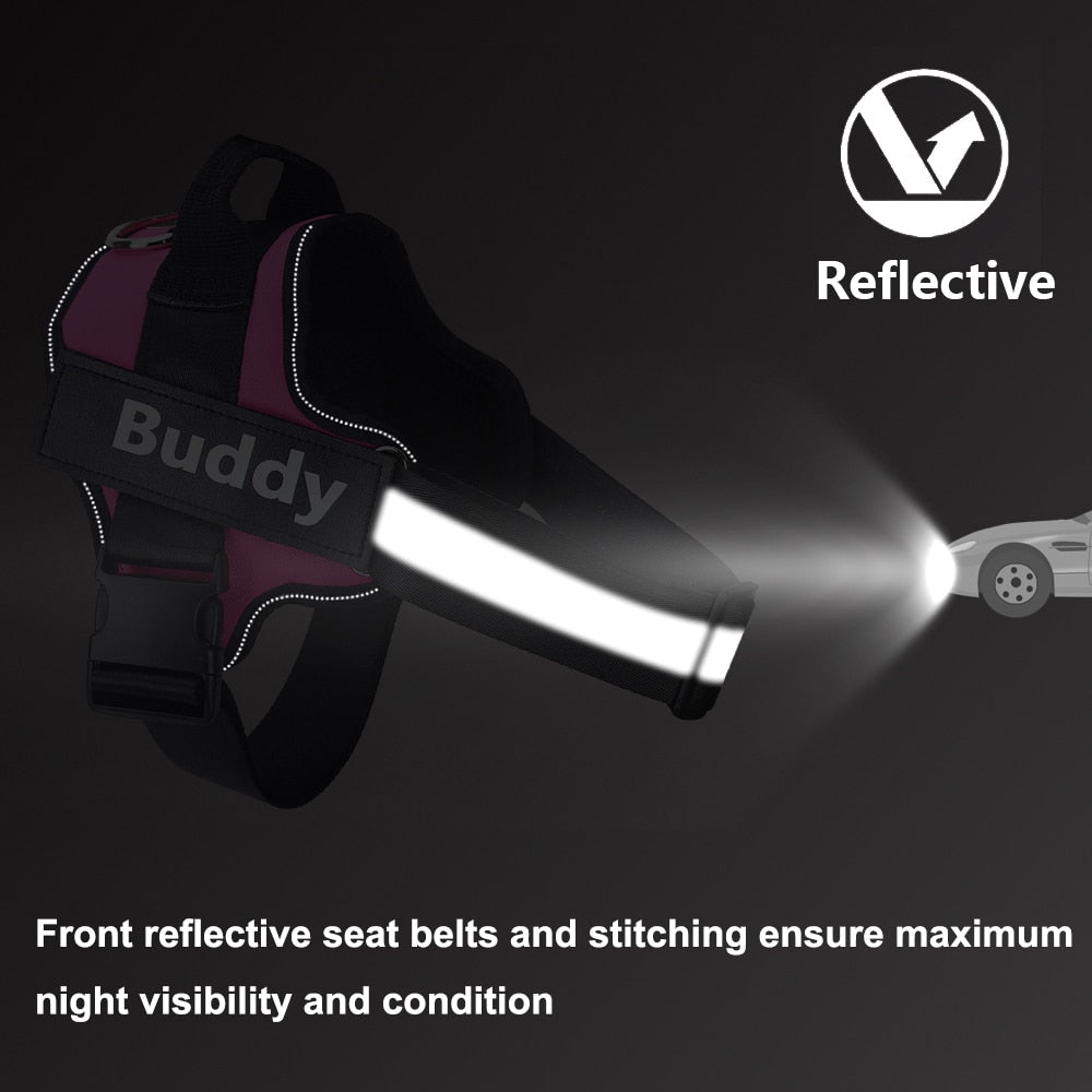 Personalized Reflective Breathable Dog Harness