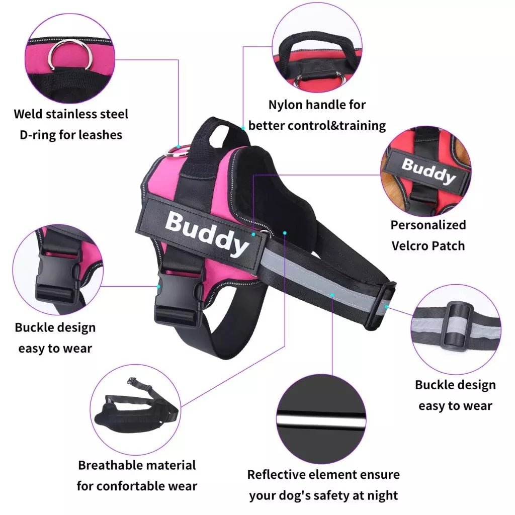 Personalized Reflective Breathable Dog Harness