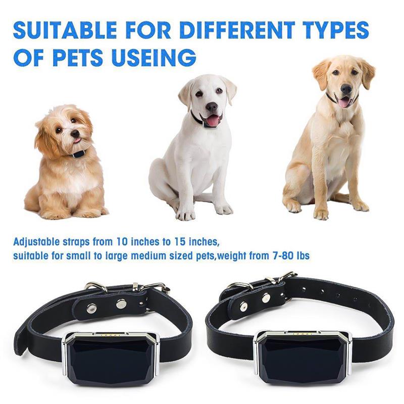 GPS Smart Waterproof Pet Locator Collar