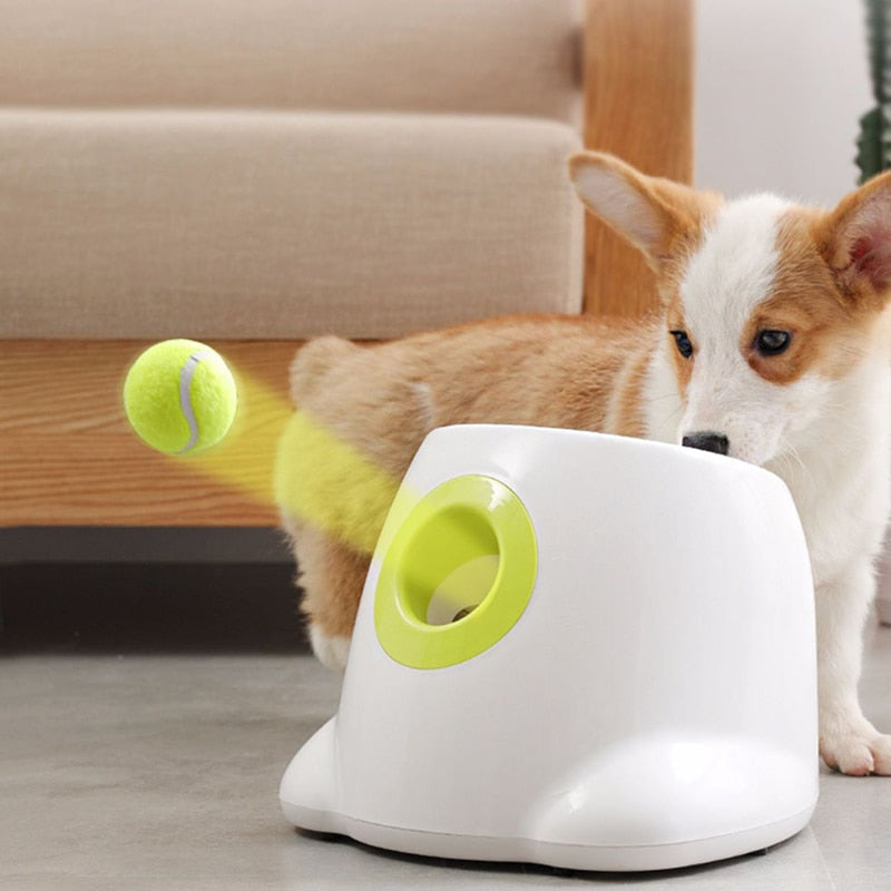 Catapult  Ball Launcher Dog Toy