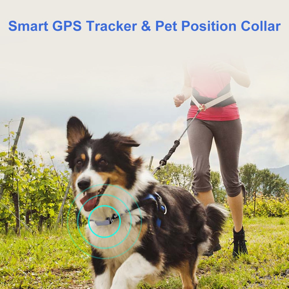 Waterproof Real-time Tracking Collar For Dog Cat