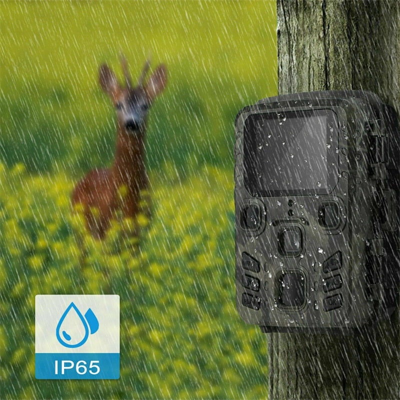 Outdoor Infrared Night Vision Motion Activated Mini Trail Camera - youractivewellnessshop