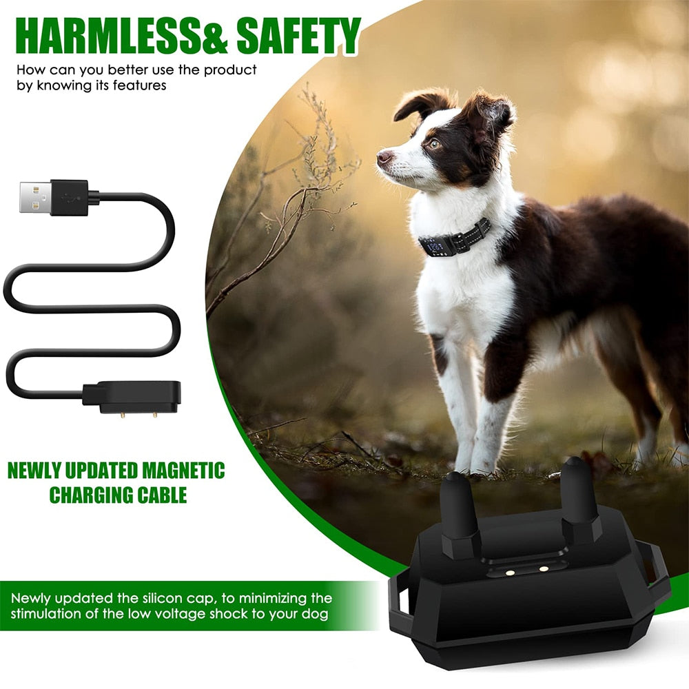 GPS Wireless Dog Fence